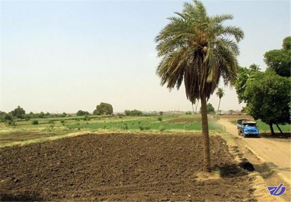 سرنوشت جدید طرح احیا و تعادل بخشی