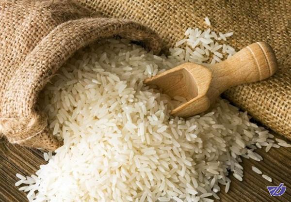 گرانی قیمت برنج جهانی است!