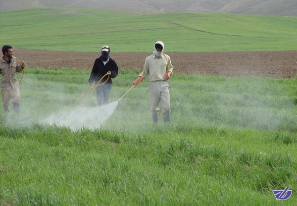 تعرفه واردات سموم کم خطر اعلام شد