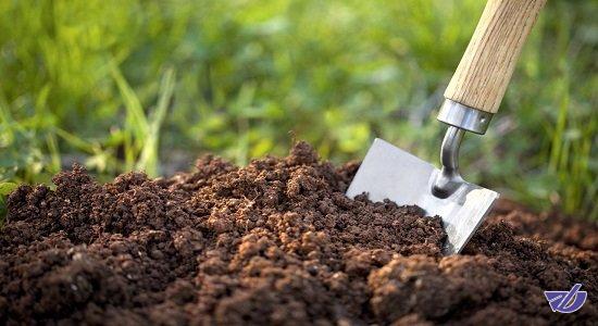 استفاده از کودهای زیستی کیفیت محصولات کشاورزی را افزایش می‌دهد