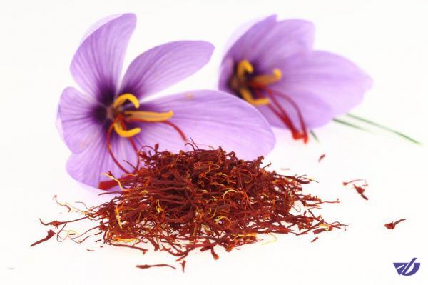 تلاش برای صادرات محصول زعفران با برند ایران