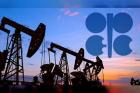 کاهش تولید نفت اوپک پلاس بالا ماند