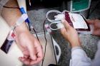 فعالیت ۵ مرکز اهدای خون در تاسوعا و عاشورا/اهدای پلاسما بدون نوبت در ۳ مرکز