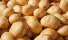 سود ۱۰ هزار تومانی خارجی ها از خرید هر کیلو سیب‌زمینی ایرانی!