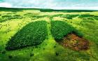 جنگل‌زدایی در آمازون 