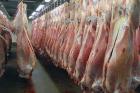  تولید انواع گوشت قرمز کاهش پیدا کرده است