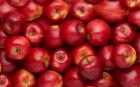 پیشبینی کمبود 30 درصدی عرضه سیب در شب عید