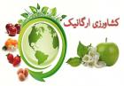 ایران چهل‌وسومین تولیدکننده ارگانیک