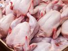  وزارت کشاورزی به گرانی مرغ واکنش نشان داد