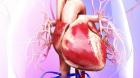  برای حفظ سلامت قلب در بیماران دیالیزی چه کارهایی باید انجام شود؟