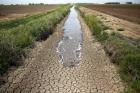 مشکلات مصرف آب کشاورزی حل شدنی است