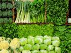 سبزی روزانه چه مقدار مصرف می شود؟
