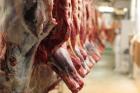 نارضایتی مردم با وجود واردات ۱۰۰ هزار میلیارد تومانی نهاده و گوشت