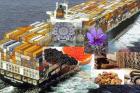 صادرات 28 میلیارد دلار مواد غیرنفتی به کشورهای مختلف