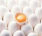 کاهش قیمت تخم مرغ و کره در گرو تخصیص ارز به نهاده‌های دامی است