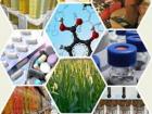 تحقق 98 درصدی برنامه پارسال صادرات صنایع غذایی، دارویی و بهداشتی
