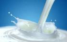نرخ خرید شیر از دامداران اعلام شد