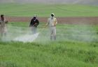 تعرفه واردات سموم کم خطر اعلام شد